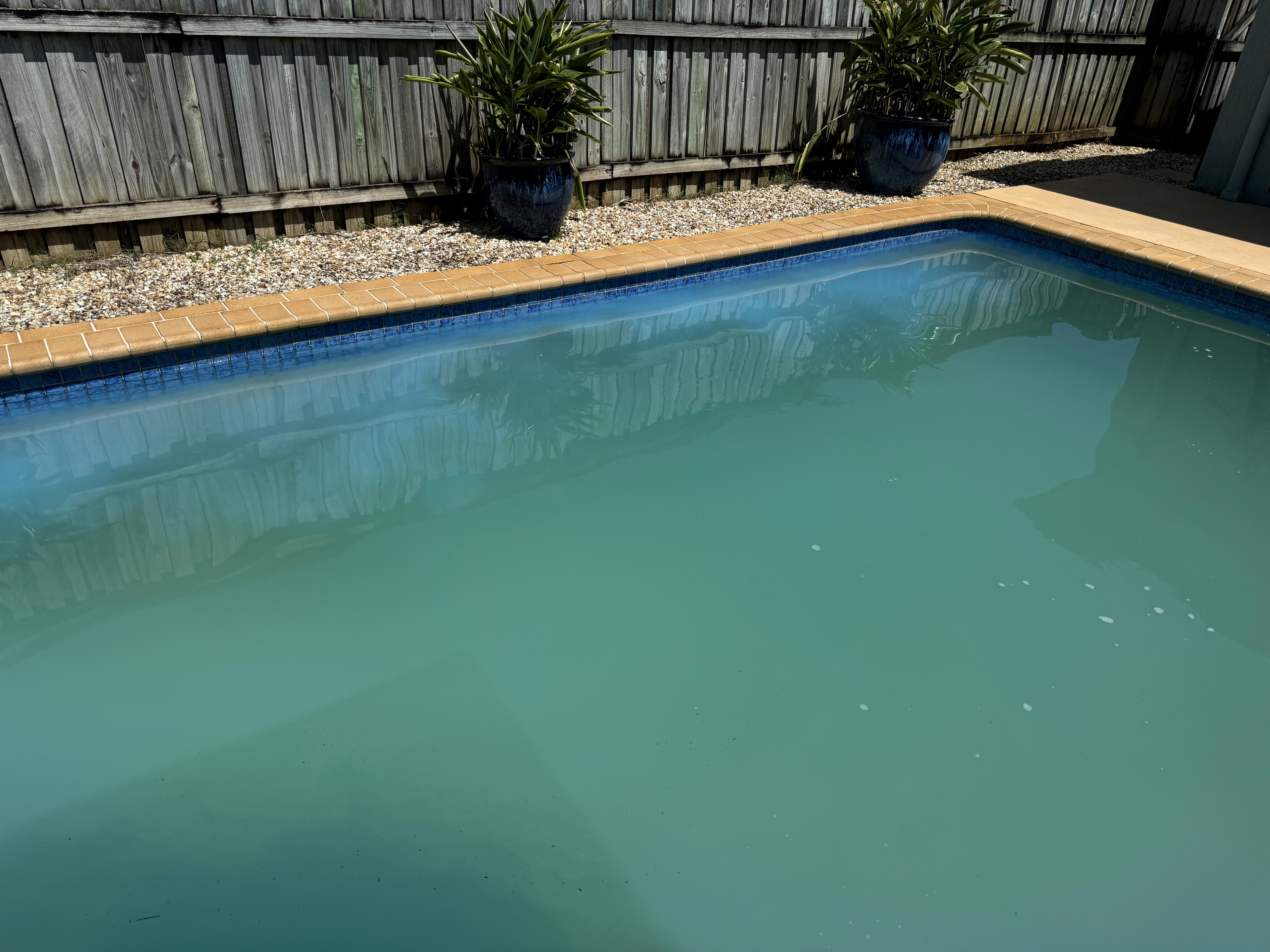 What Causes Strong Chlorine Smell in Pools