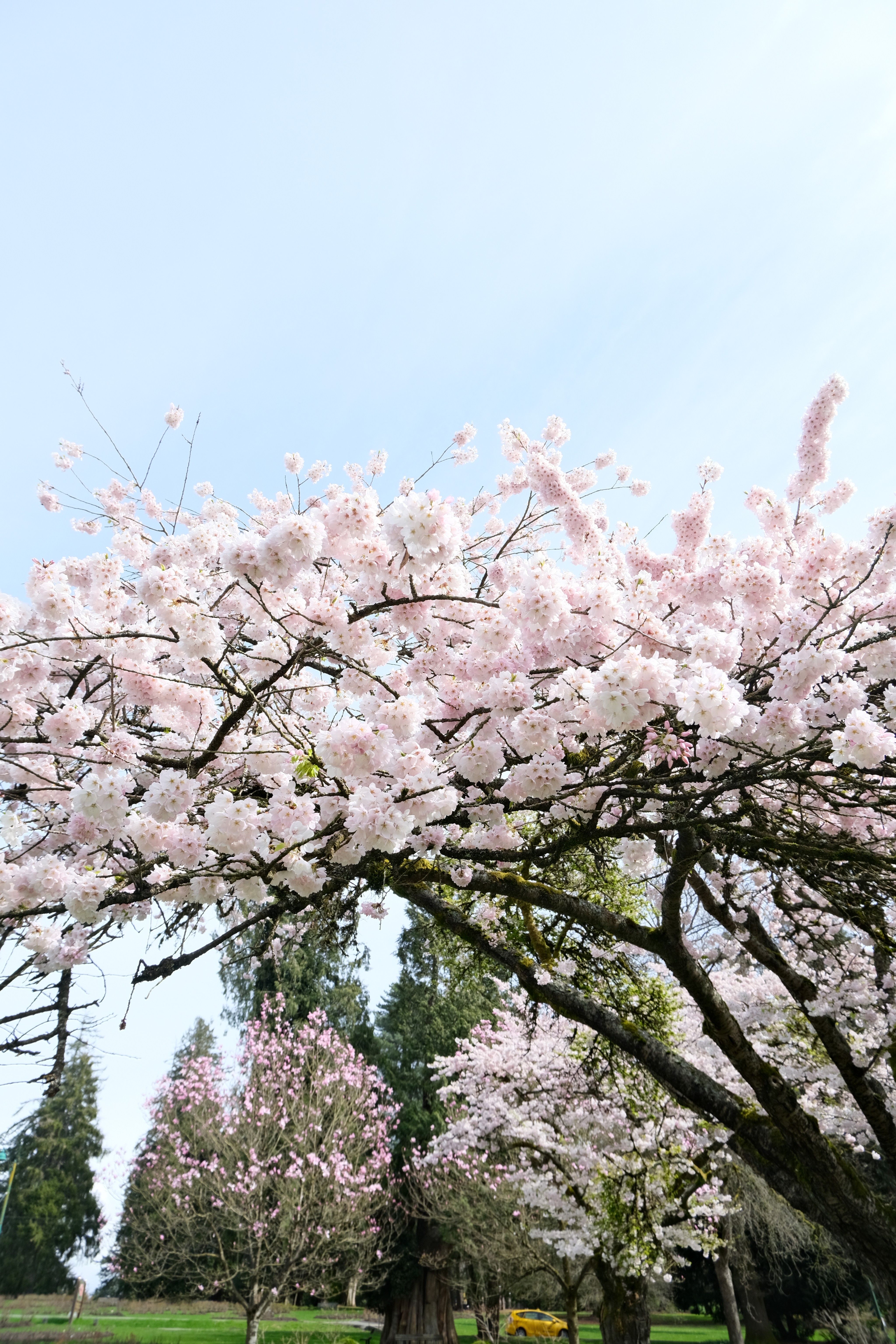 a building with persony windows