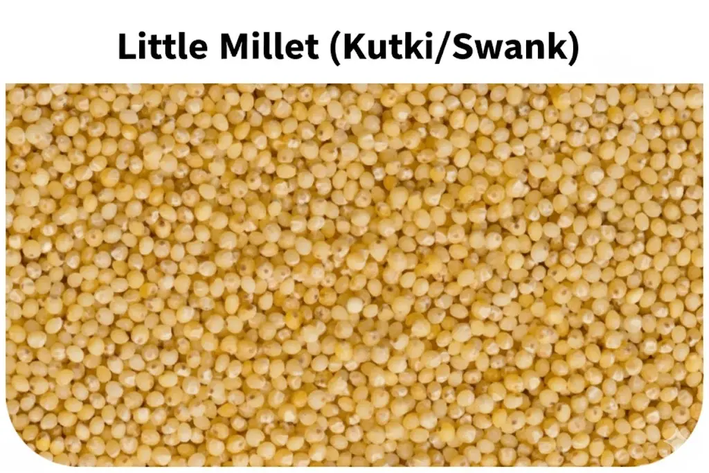 Little Millet Kutki, Swank