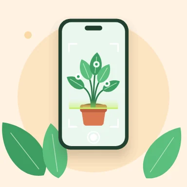 Scan a plant, key state 2