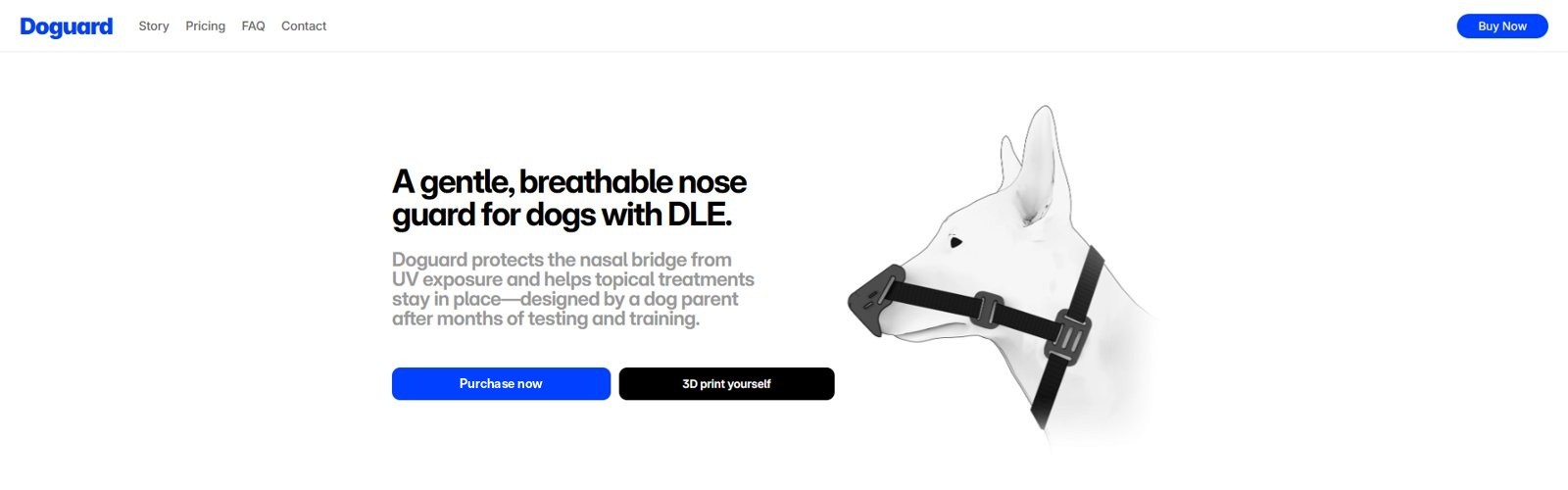The first website, under the name Doguard: headline, short intro and an illustration of a dog wearing the cover