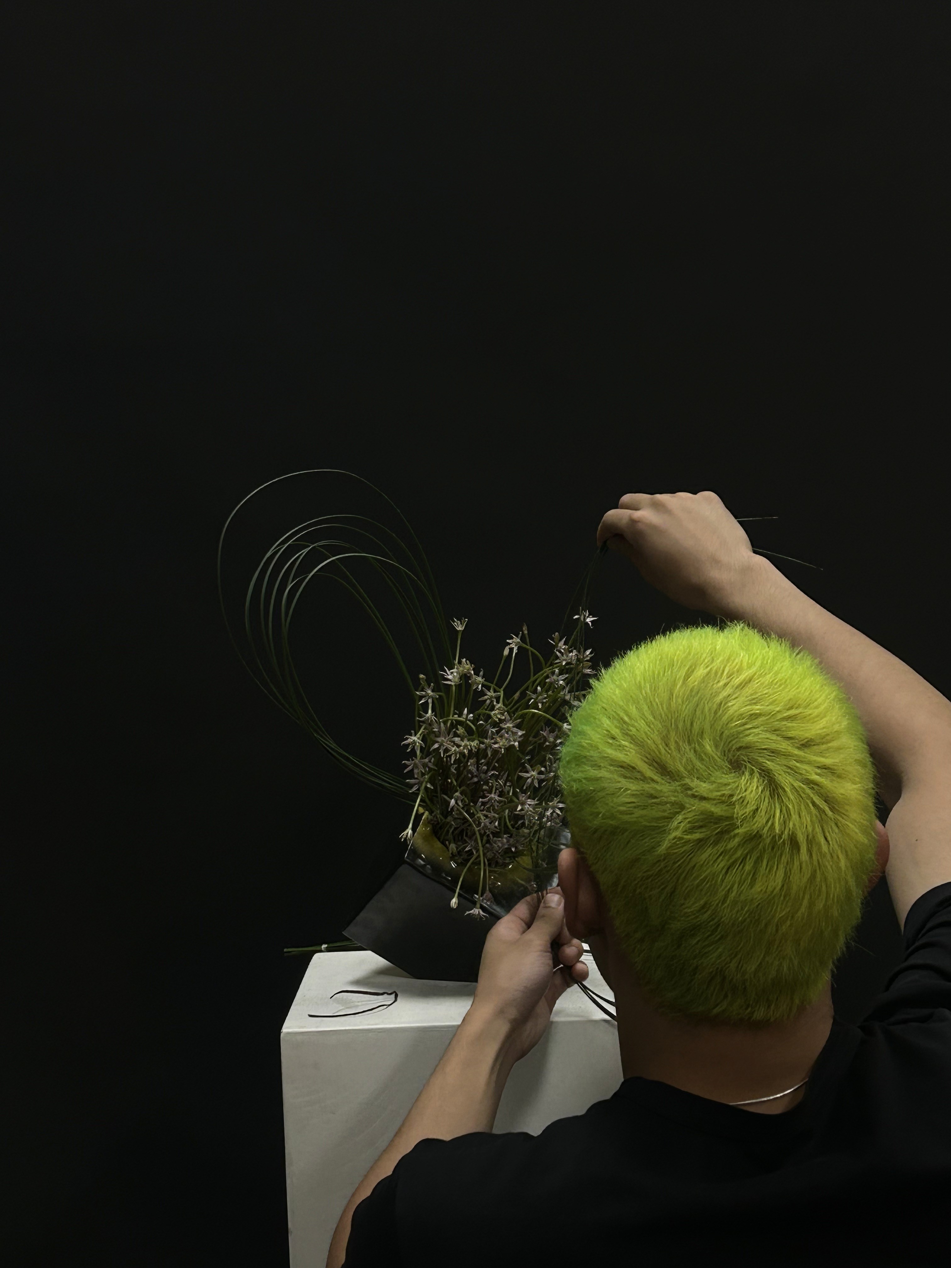 A pair of scissors in a white studio setting