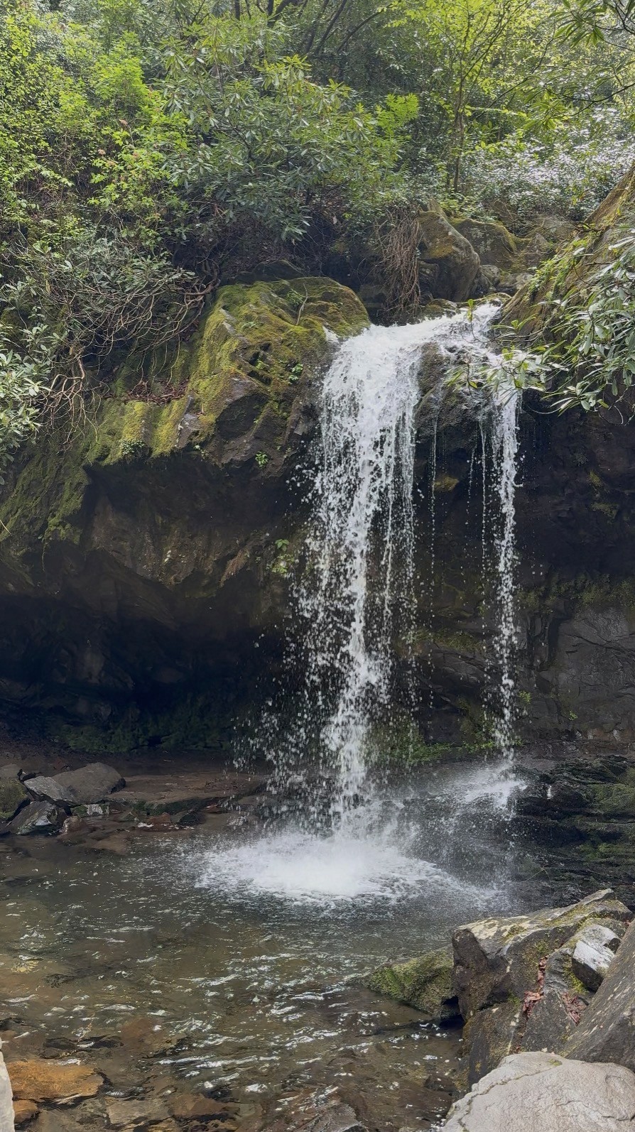 Gatlinburg Activities for Couples Who Hate a Boring Vacation