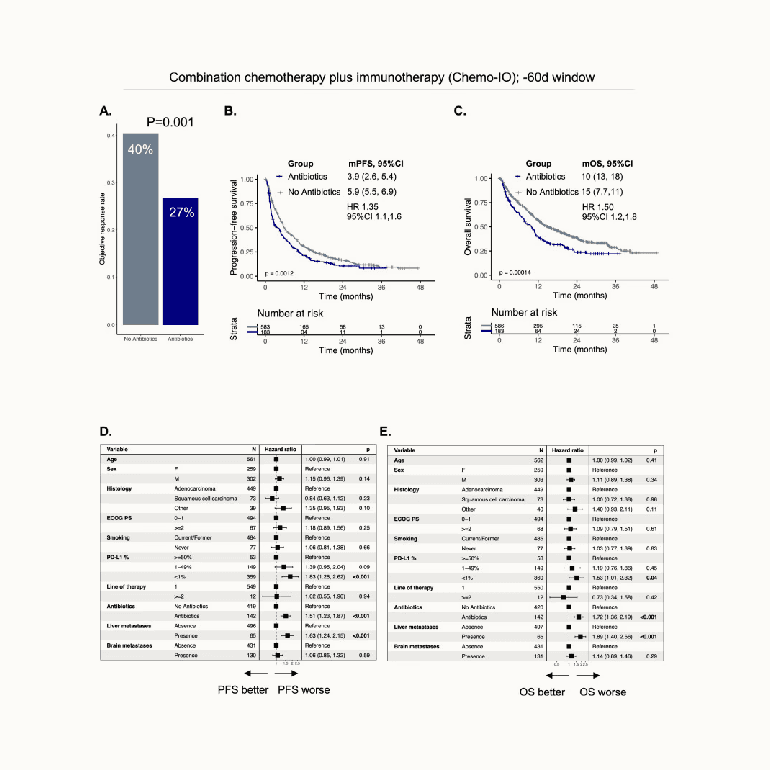 Antibiotics are associated with worse outcomes in lung cancer patients treated with chemotherapy and immunotherapy