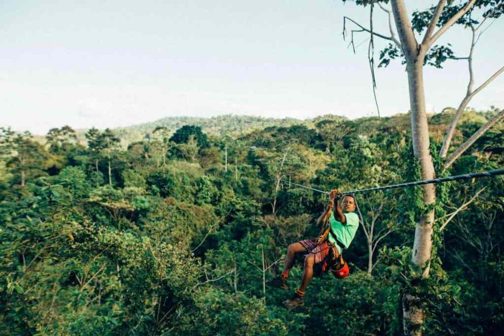 zipline across jungle canopy