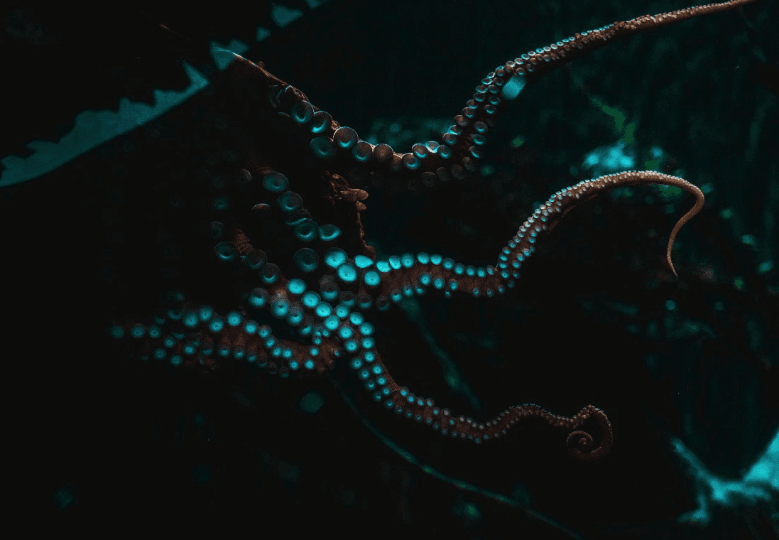 Shooting at the manor with Dom Pérignon Vintage 2013