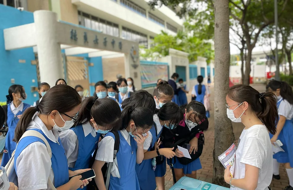 Luxury custom sofa and chairs