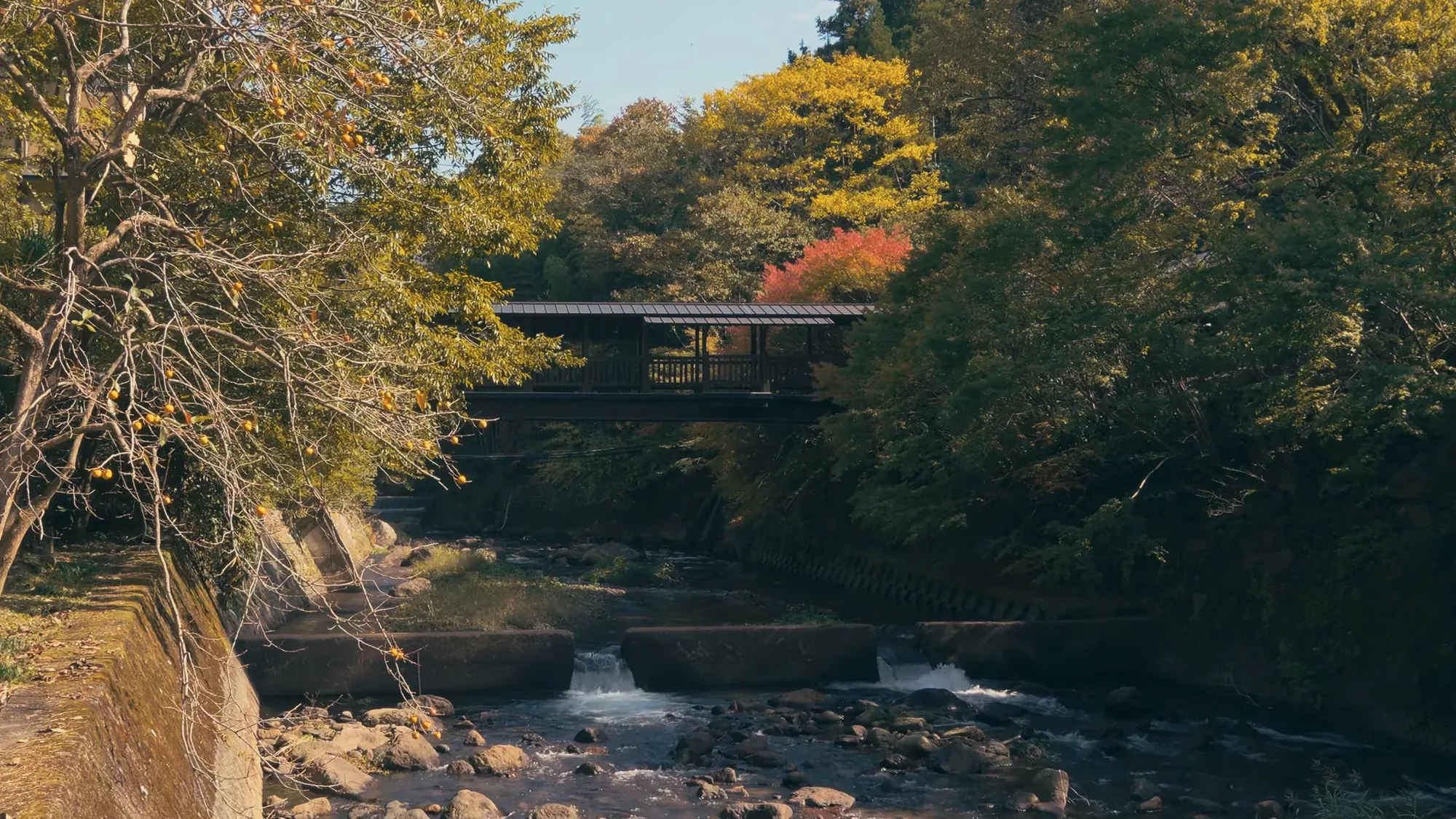 The river and bridge at Kurokawa Onsen under autumn colour
