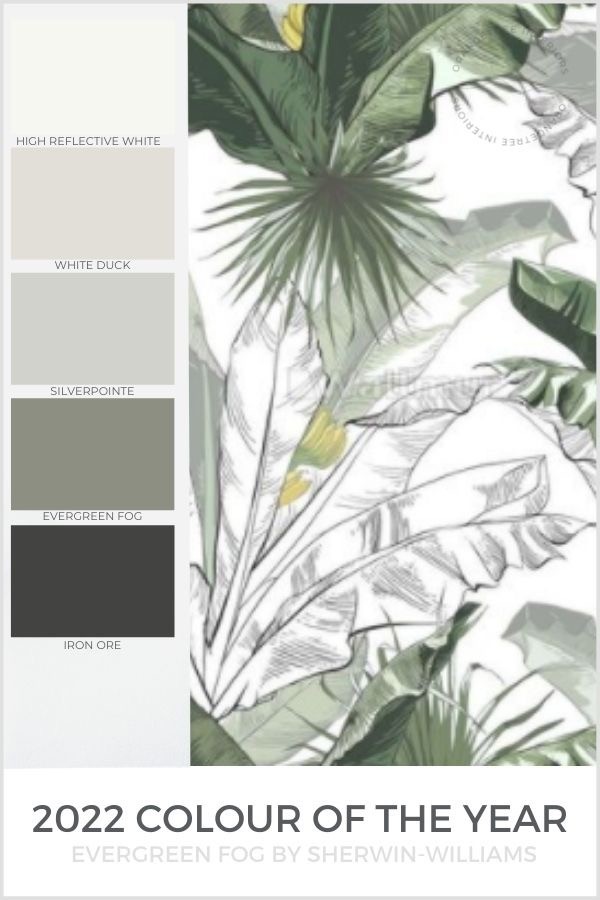 2022 paint colour of the year sherwin williams