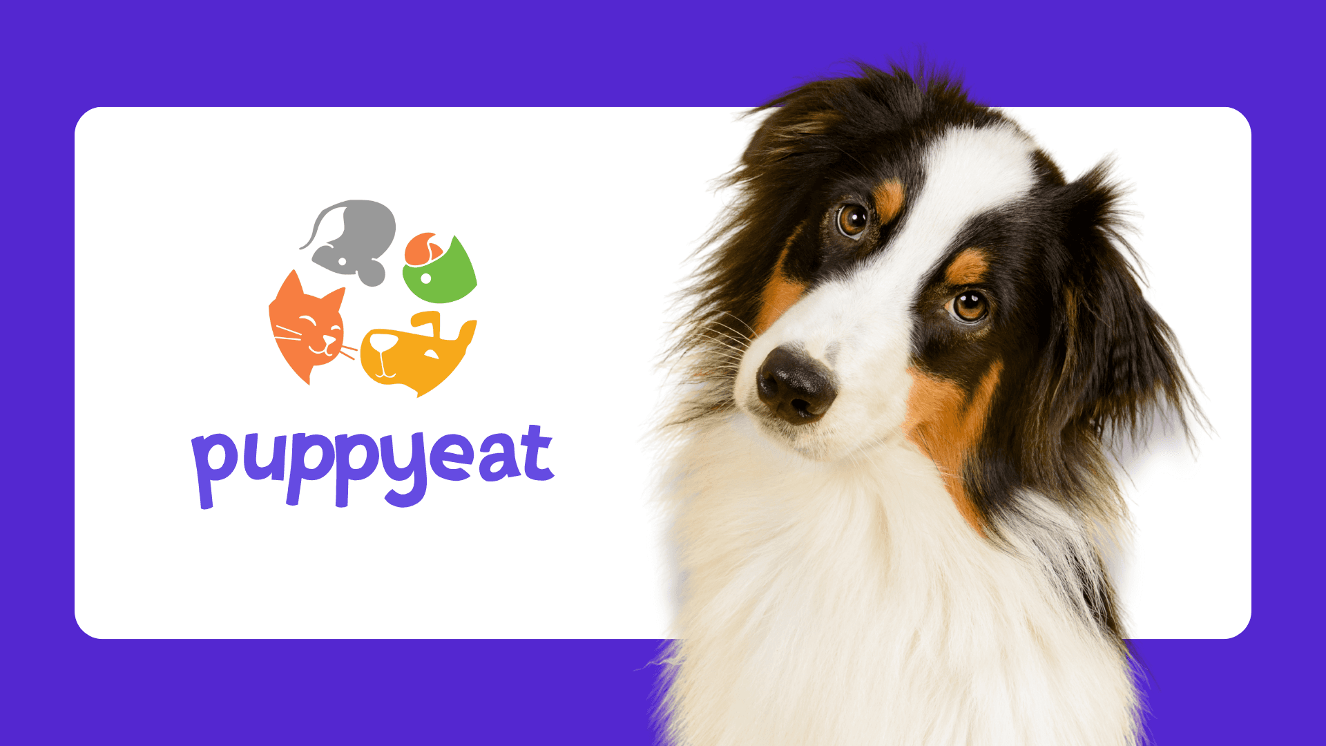 Puppyeat pet shop logo e brand identity