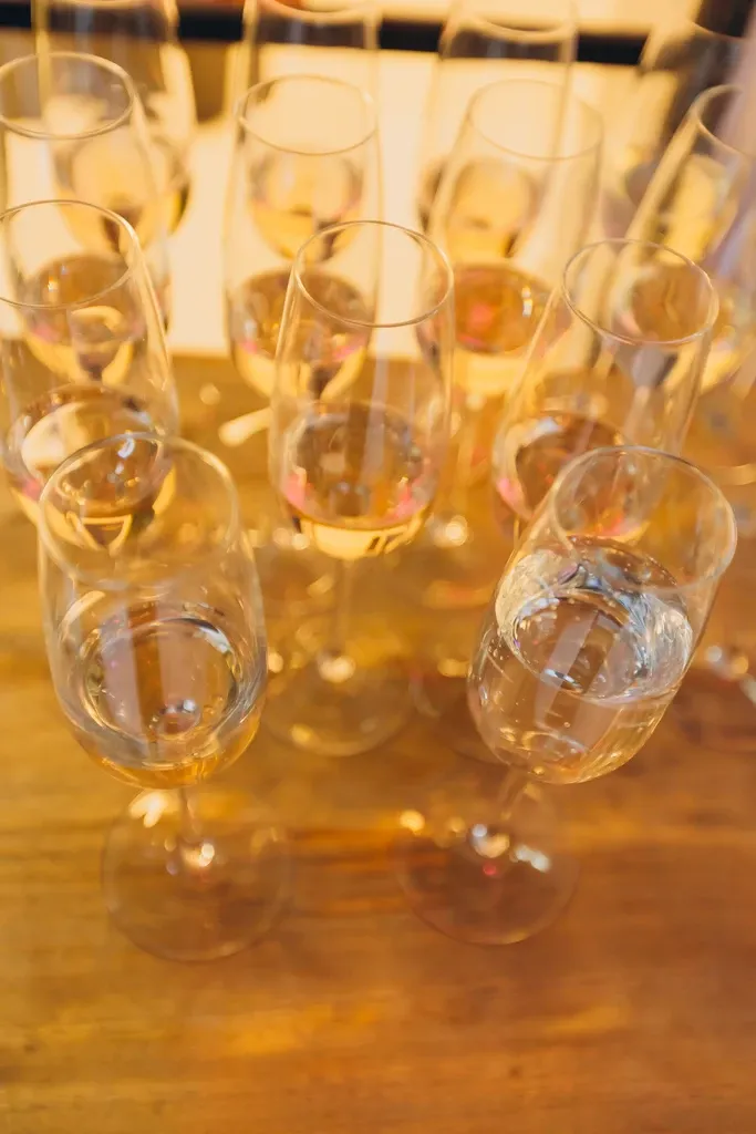 adult ballet instructor