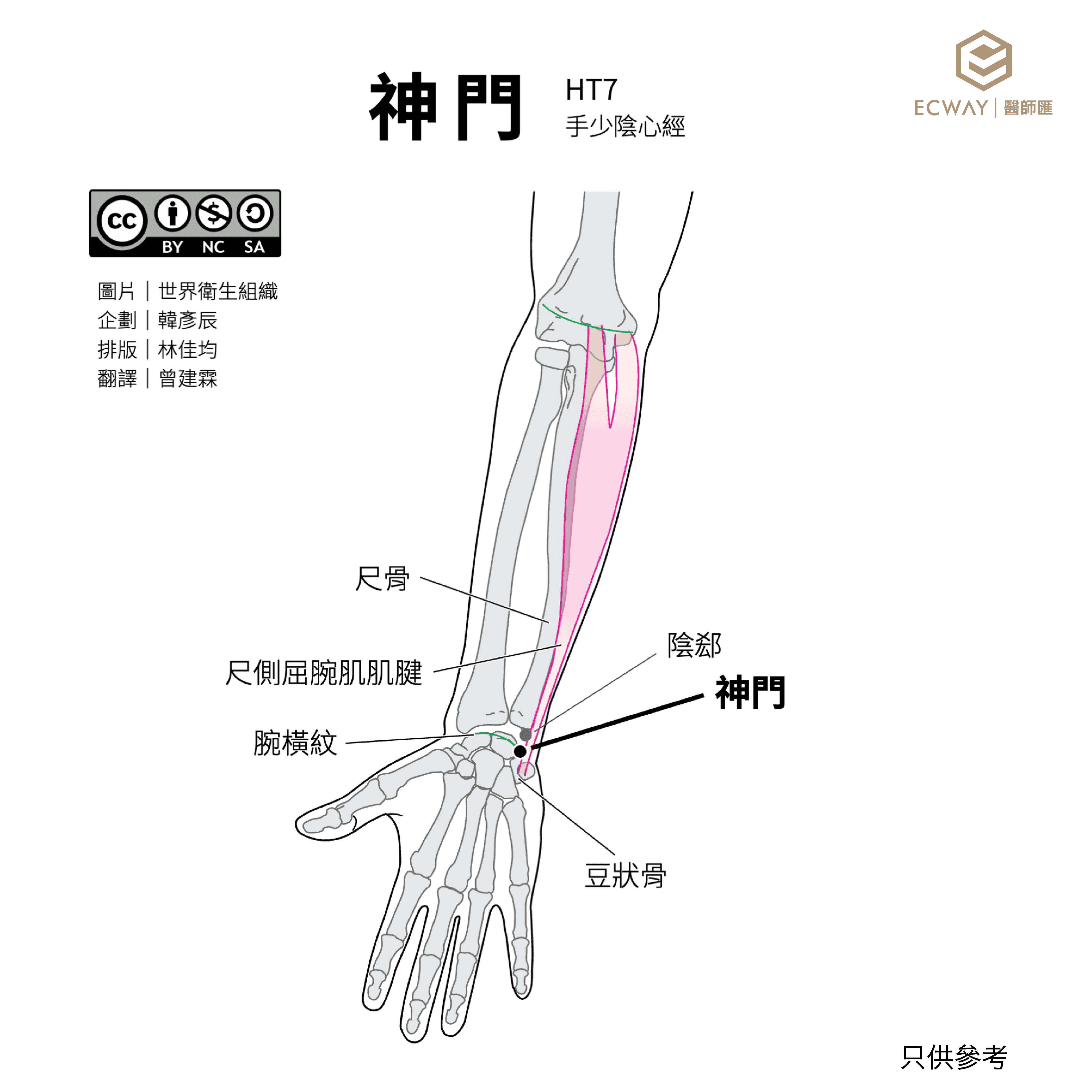 神門穴