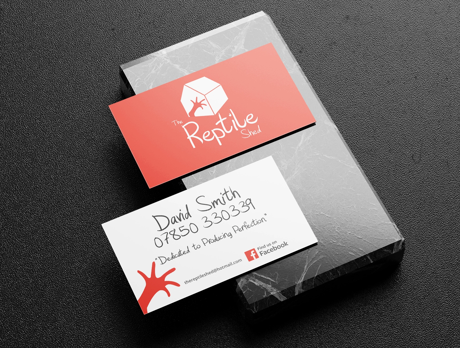 The Reptile Shed - Logo and business card design