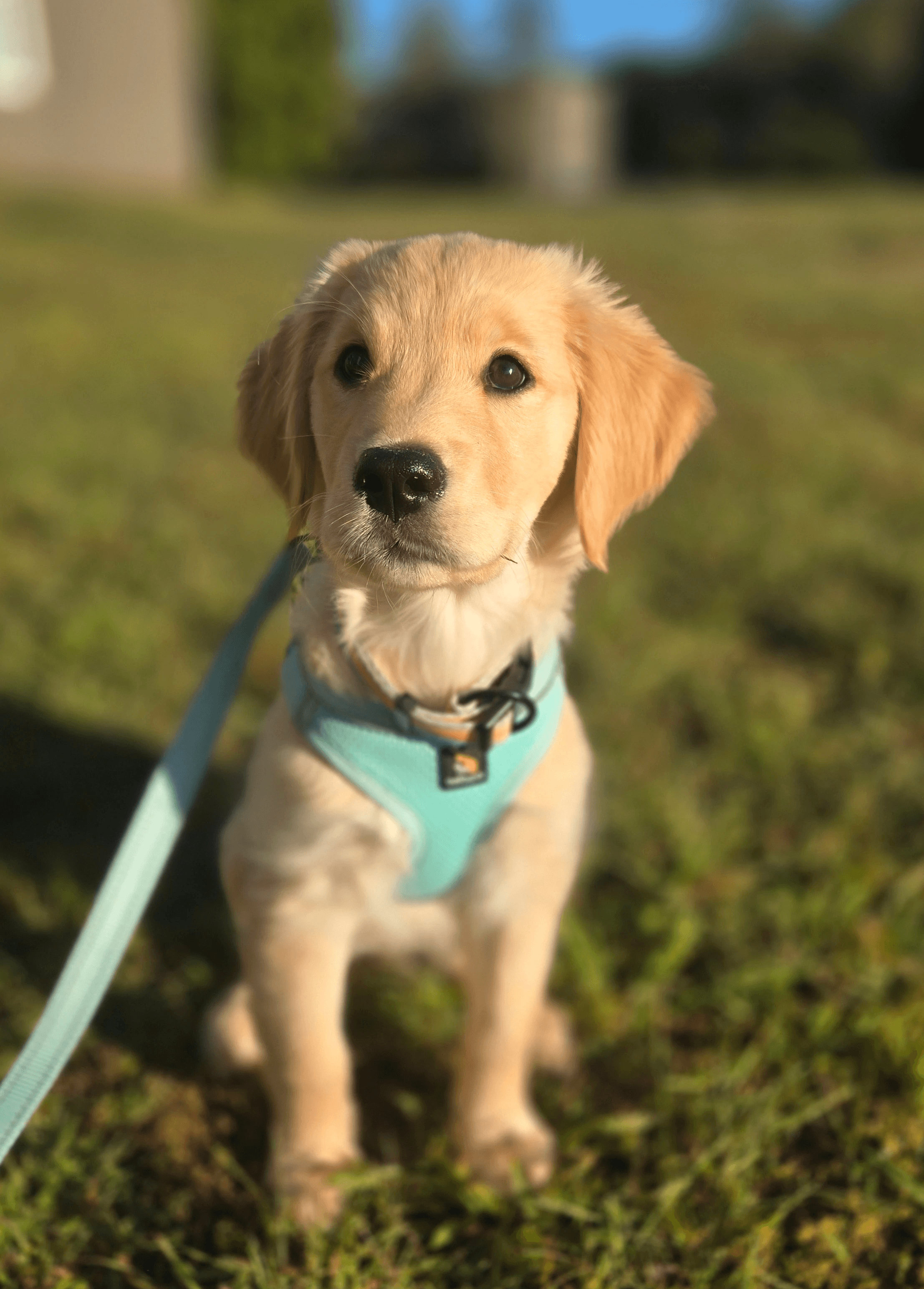 a building with persony windows