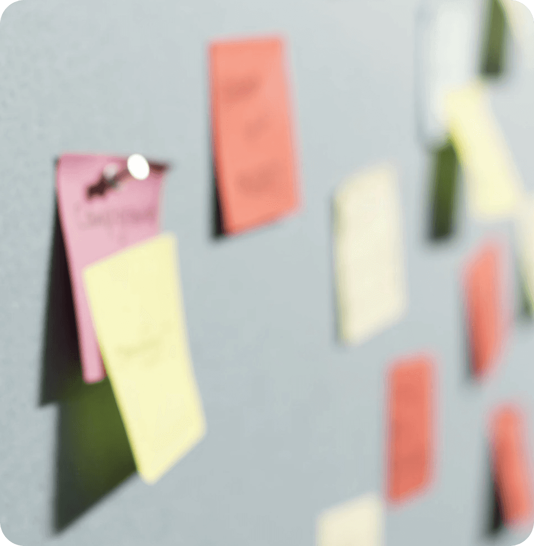 Spicy Mango - Eleven Sports