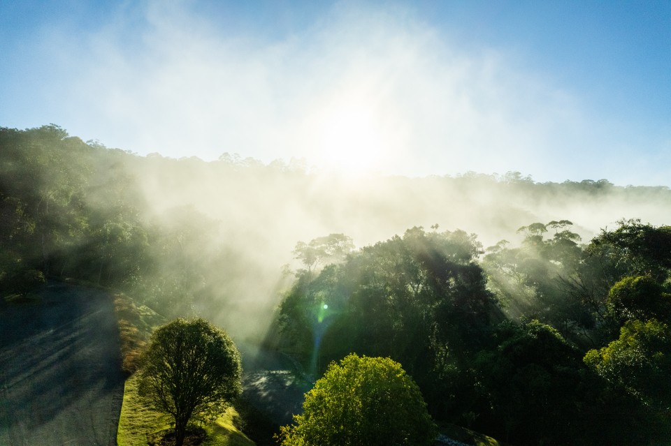 A group of four people engaged in a discussion while seated in a cozy, plant-filled setting.