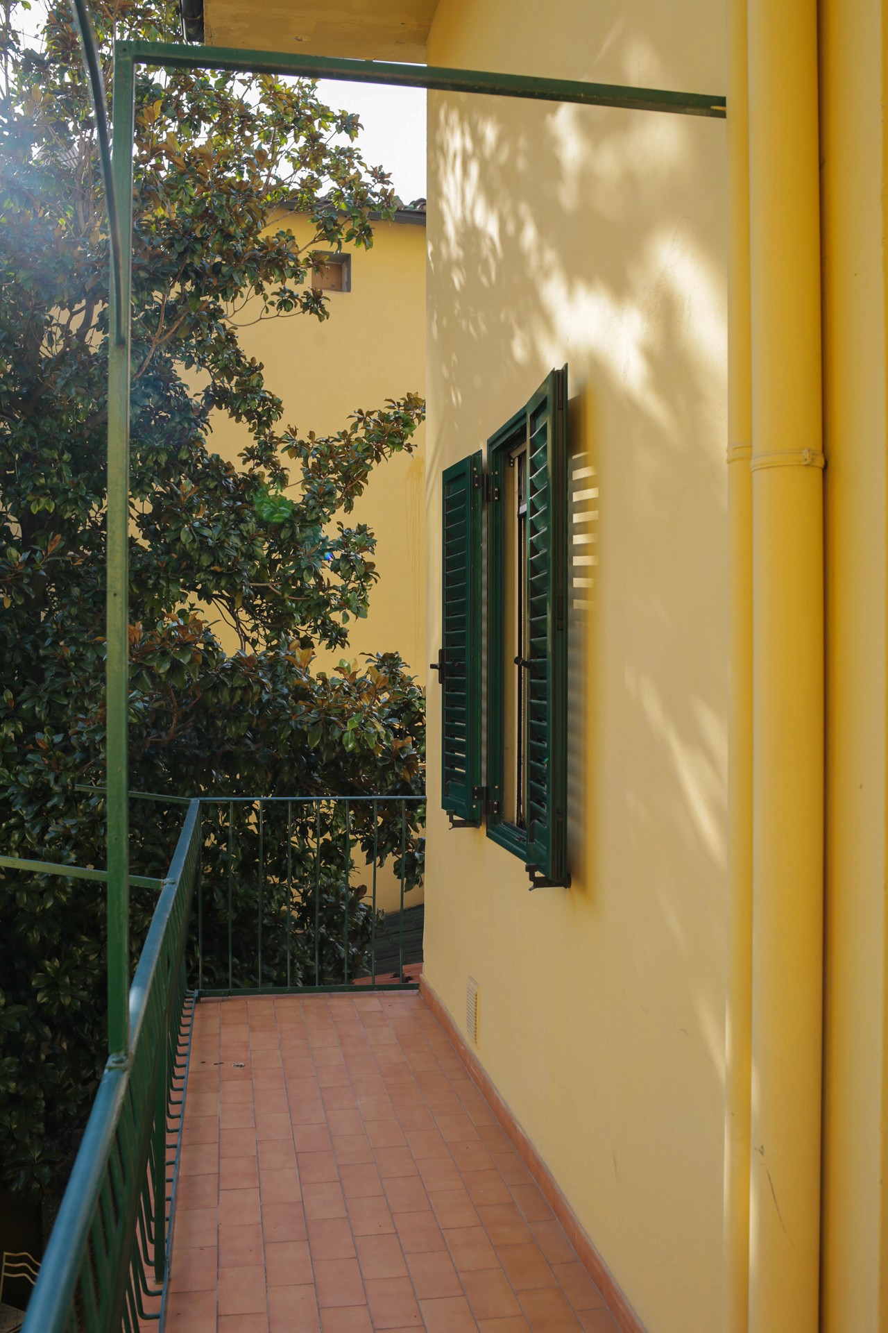 Immagine del balcone con natura