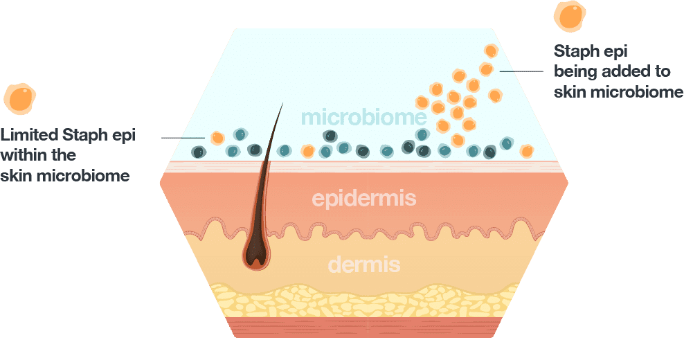 /><figcaption>Source: <a href=