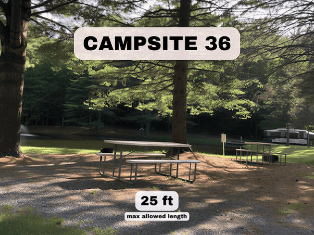 Campsite 36 at Pine Hollow Campground, a 25ft pondfront RV site with a picnic table and shade trees