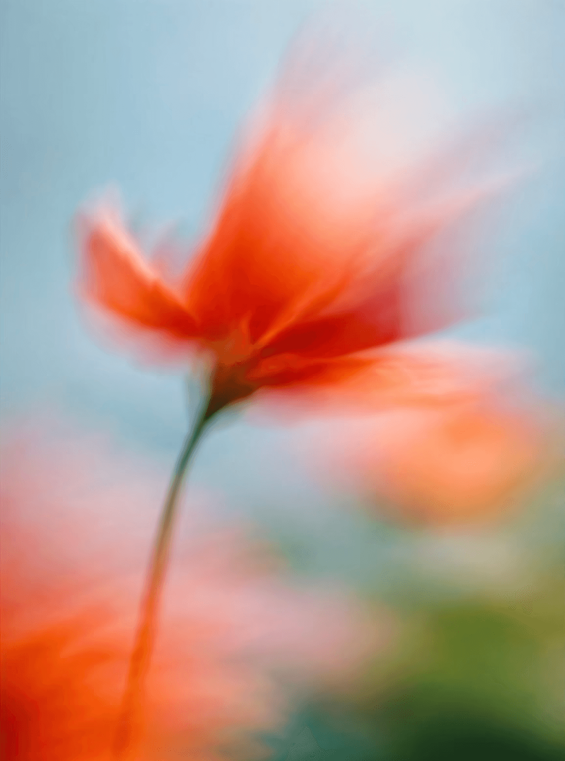How Do Dedicated Support Pods Drive Ecommerce Customer Retention? article cover image
