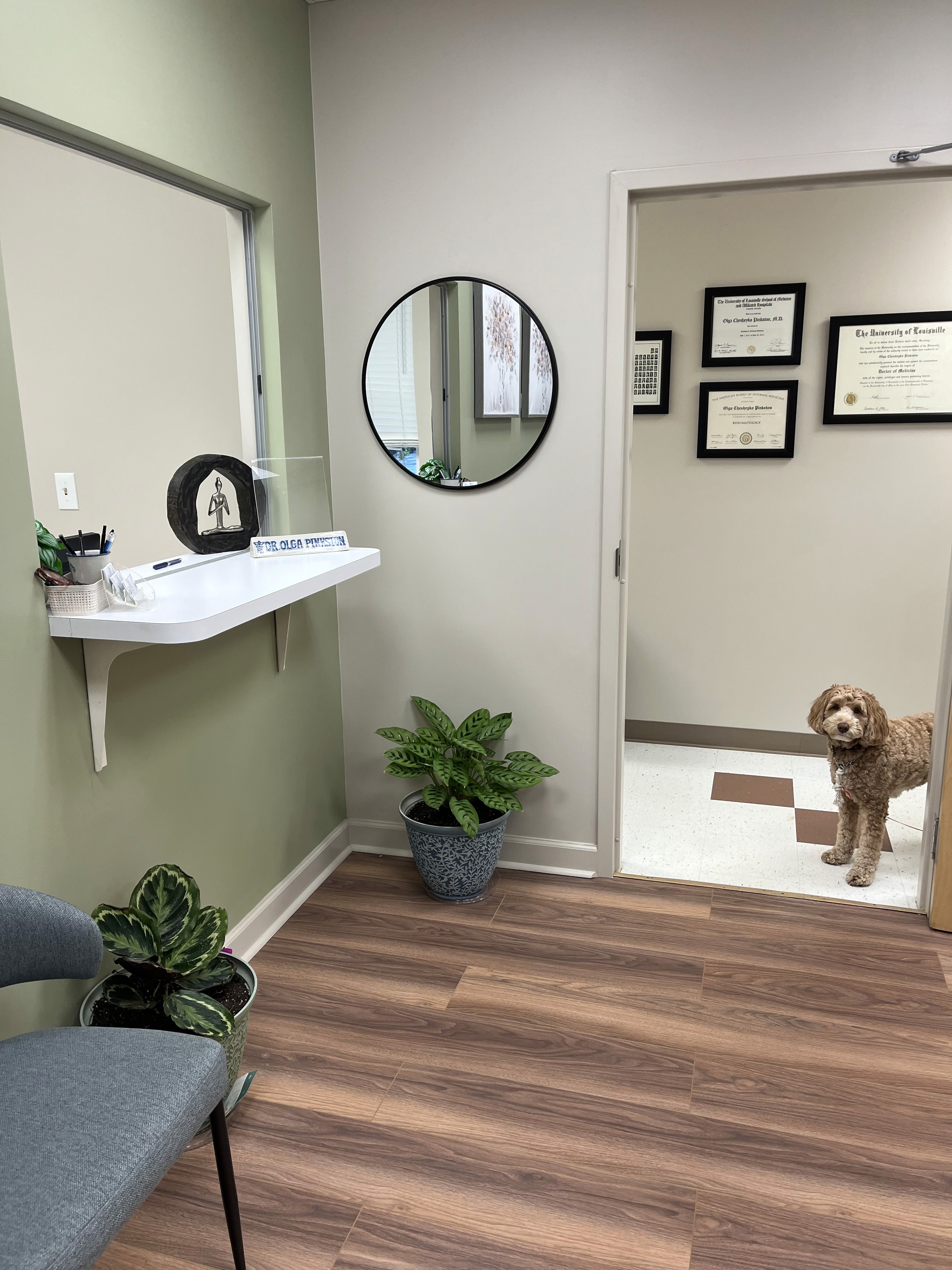 Waiting room with dog at doorway, desk, decor.  Certificates for Dr. Olga Pinkston displayed.