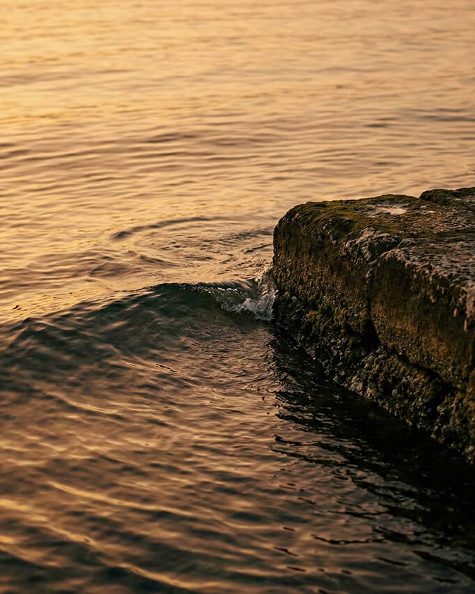Каменные ступени у канала в Венеции — детали Гранд-канала и атмосфера частной экскурсии