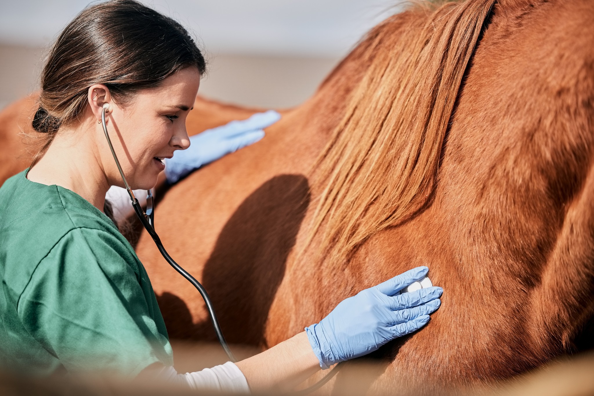 woman in black tank top holding brown horse during daytime