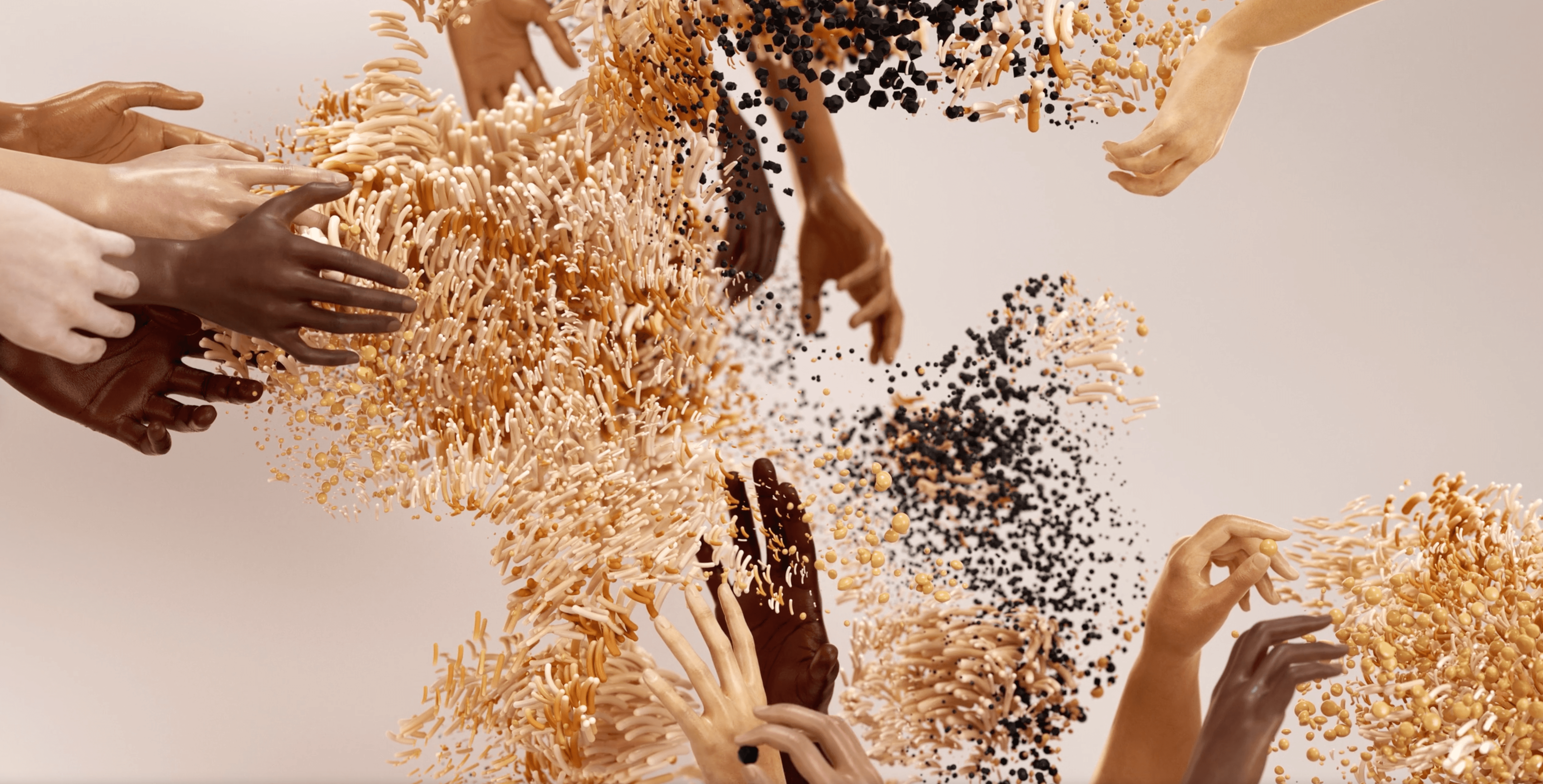 The image featured in the middle of the about us page