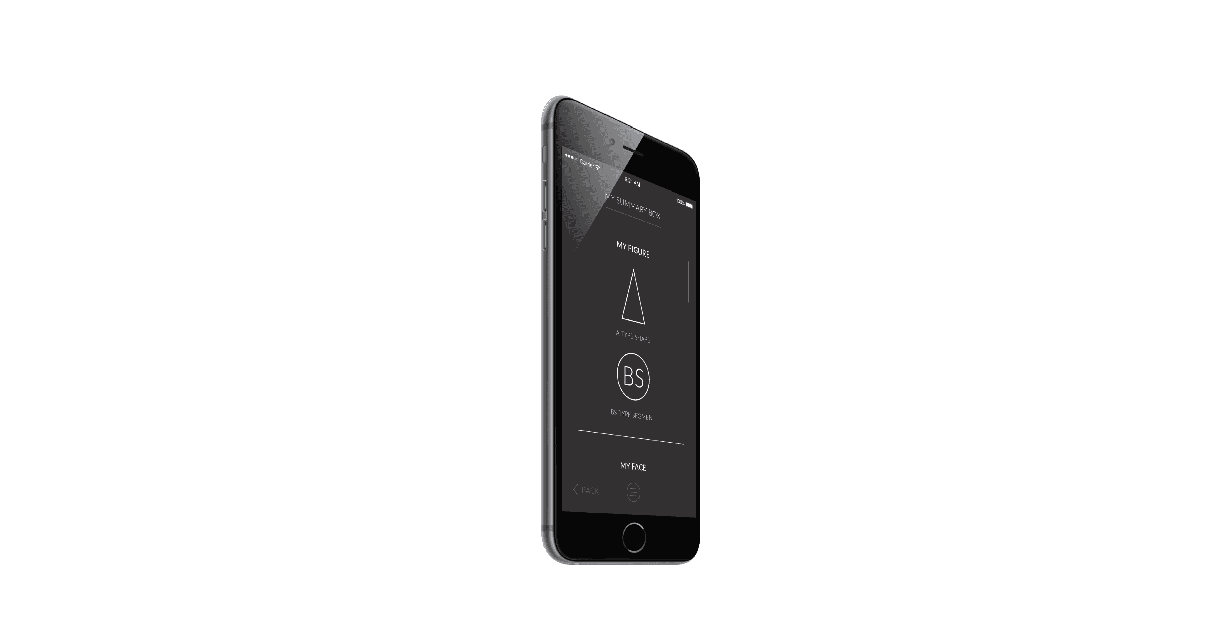 SAIA summary mockup