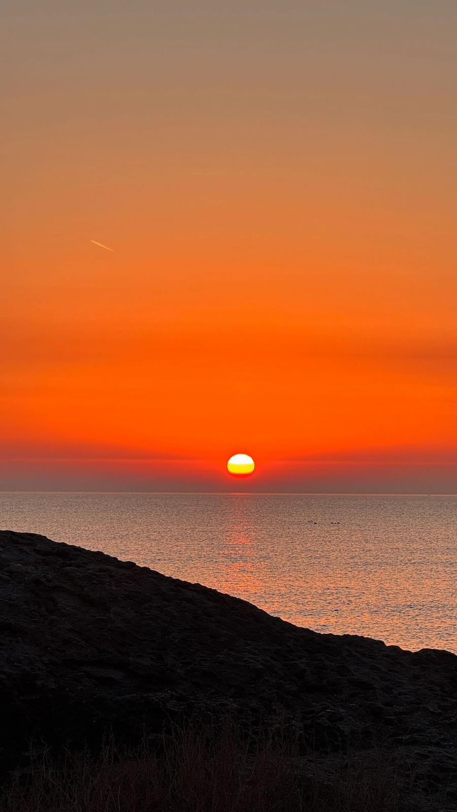 Timber staircase inside an alpine retreat with exposed beam ceiling
