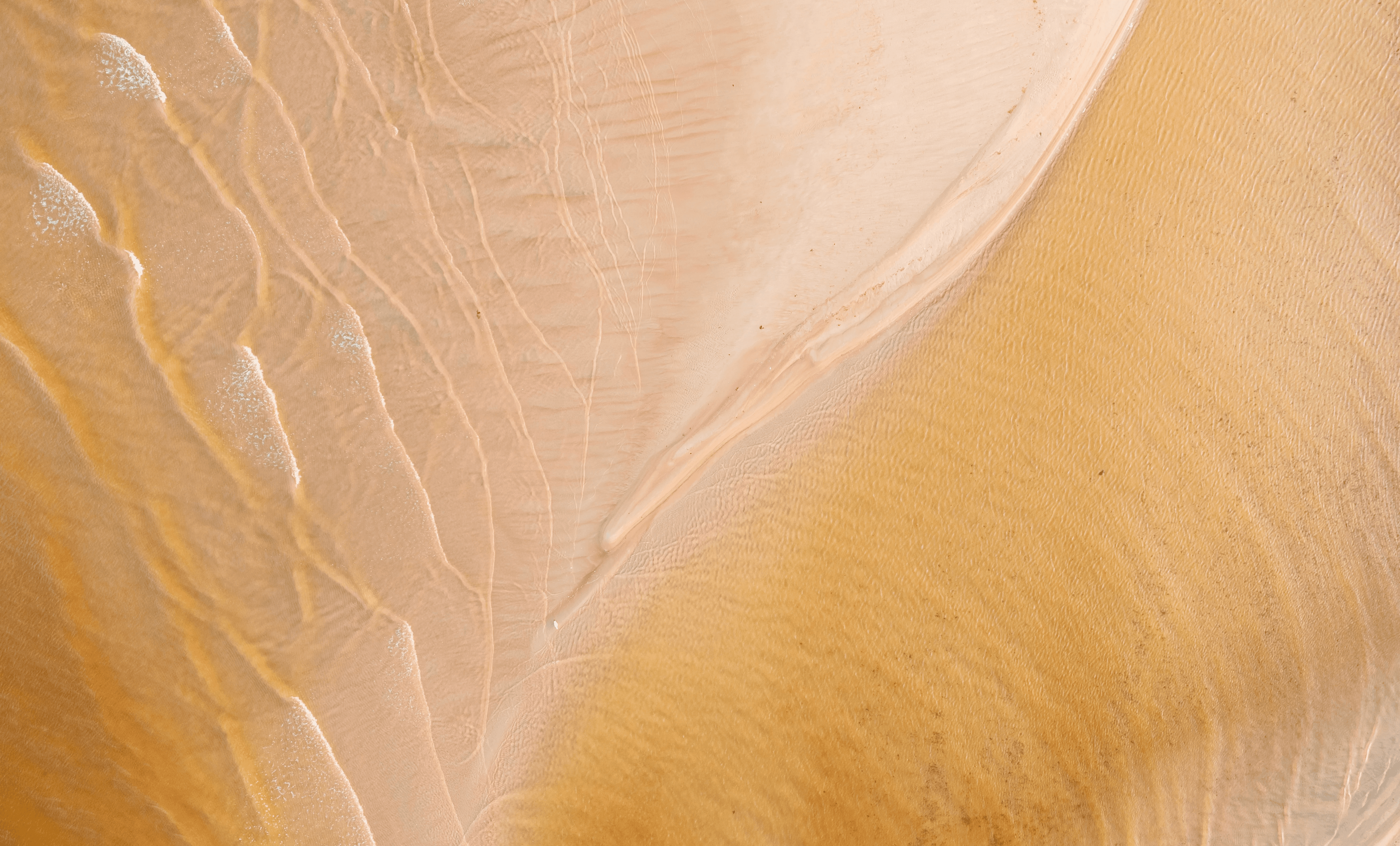 Person reviewing supplement options