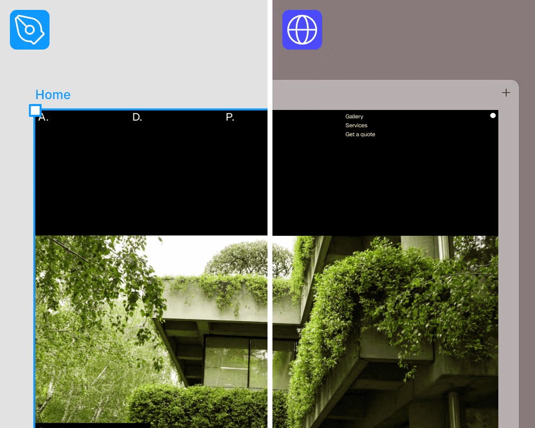 Pink tulip or flower bud on a thin green stem