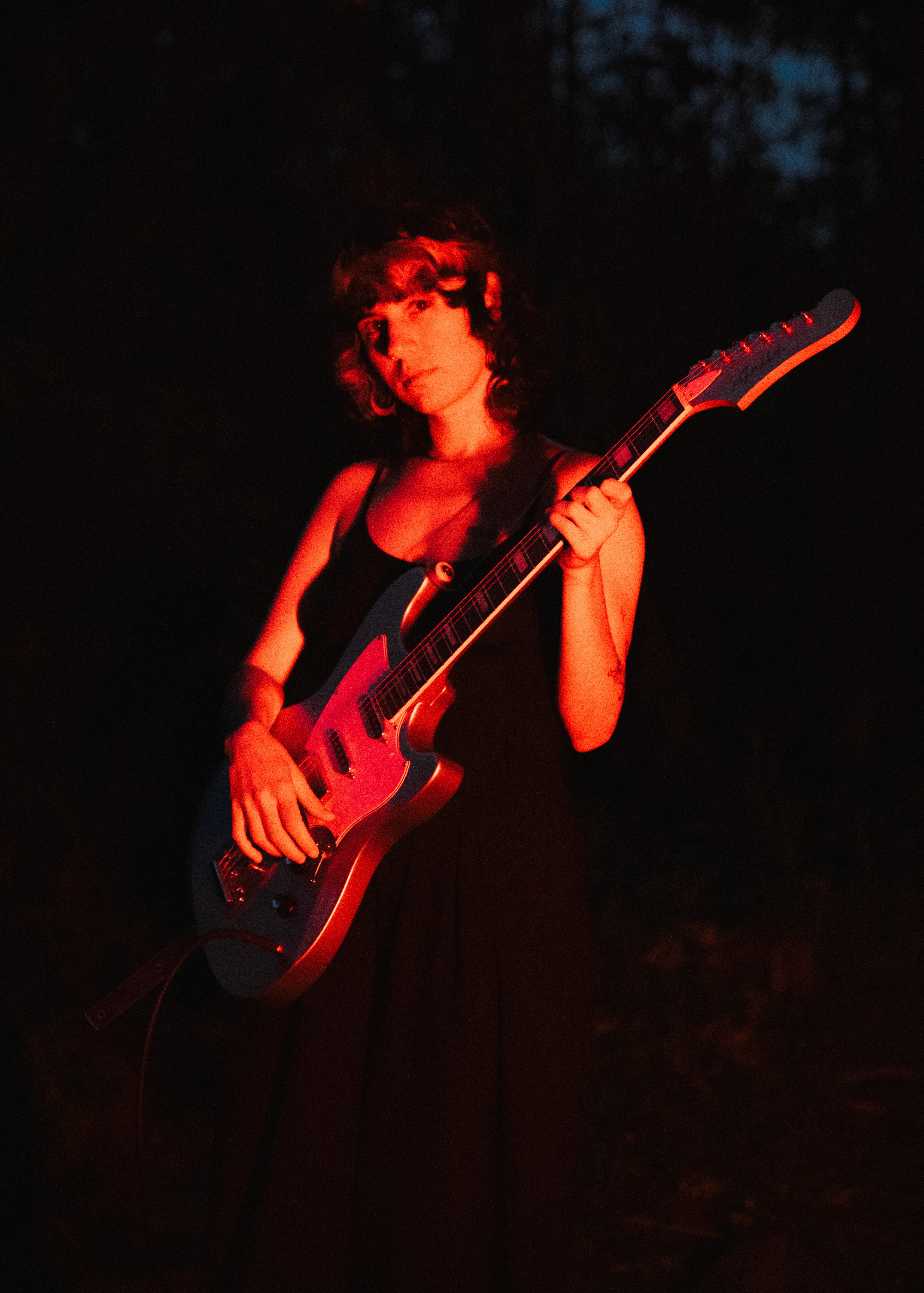 Colorful still life picture of flowers