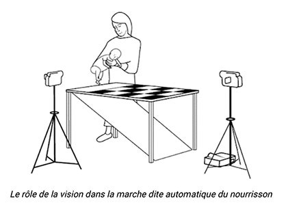 Le rôle de la vision dans la marche dite automatique du nourrisson.