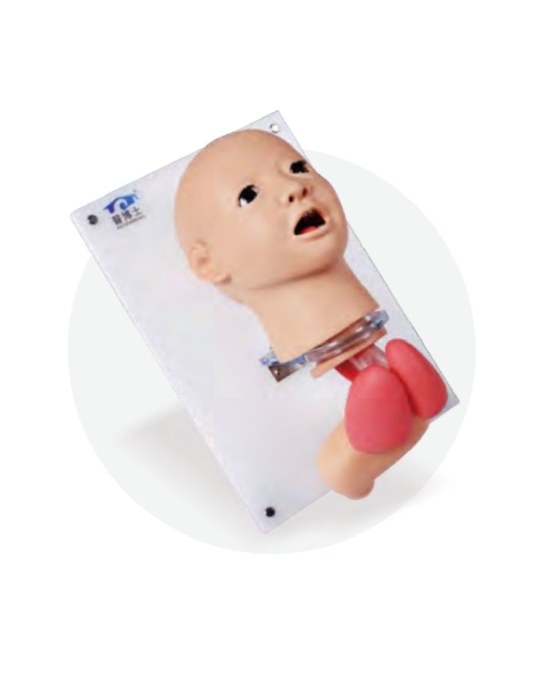 Child Endotracheal Intubation Model