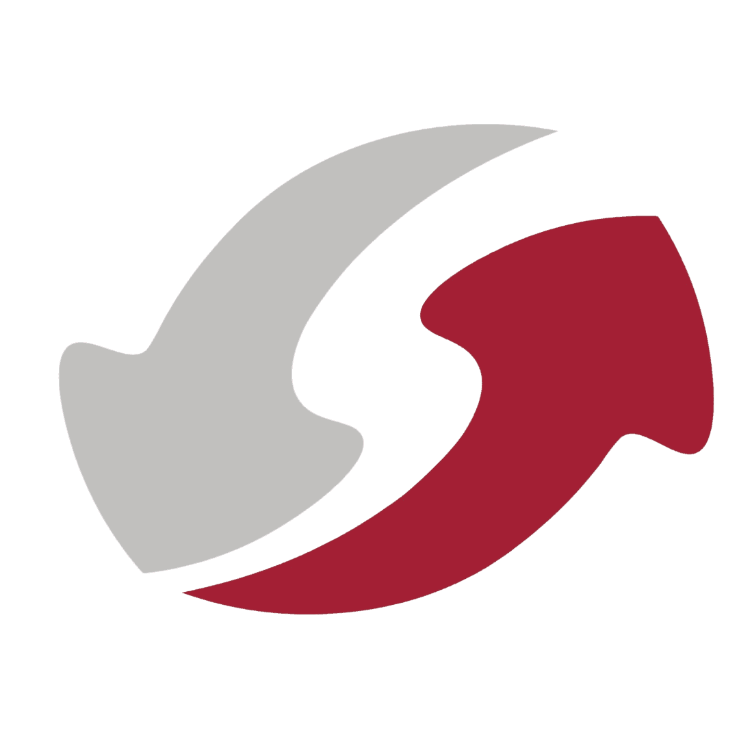 System Dynamics Society logo