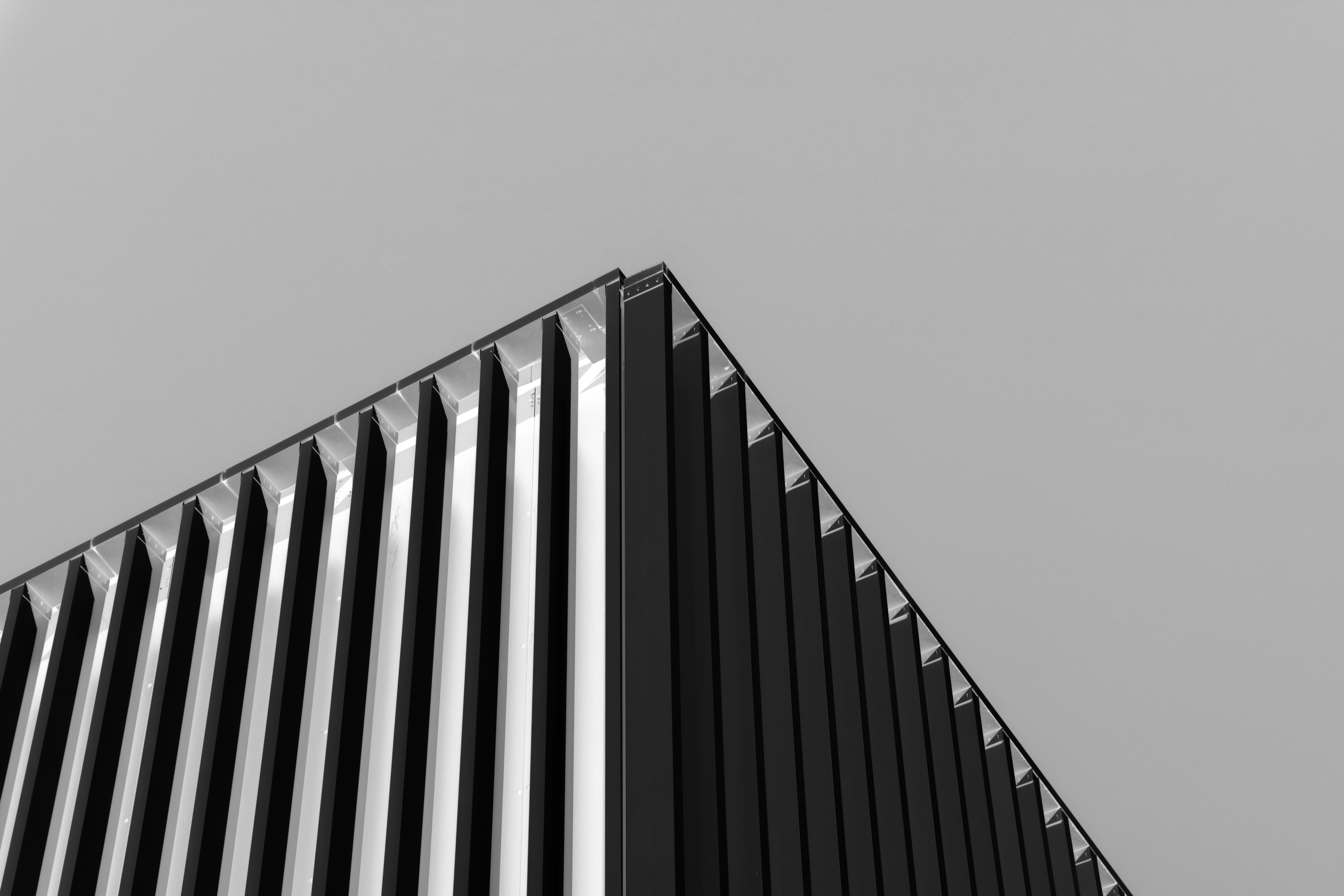 Project Content Image - 3