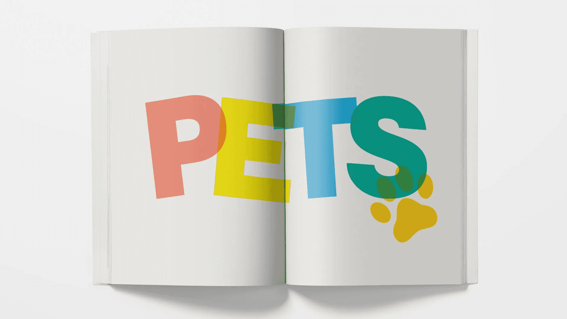 Header image of "Pets Magazine" by Shuhan Lu, featuring a visually appealing layout with vibrant images and typography that focuses on various pets, showcasing the creativity and design efforts of students in a magazine editorial project.