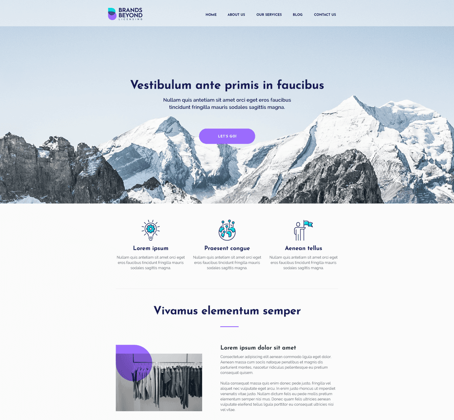 Website logo dimensions