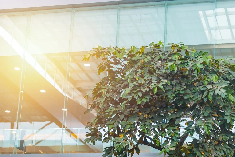 Digital Twin Applications in the construction industry for environment, image