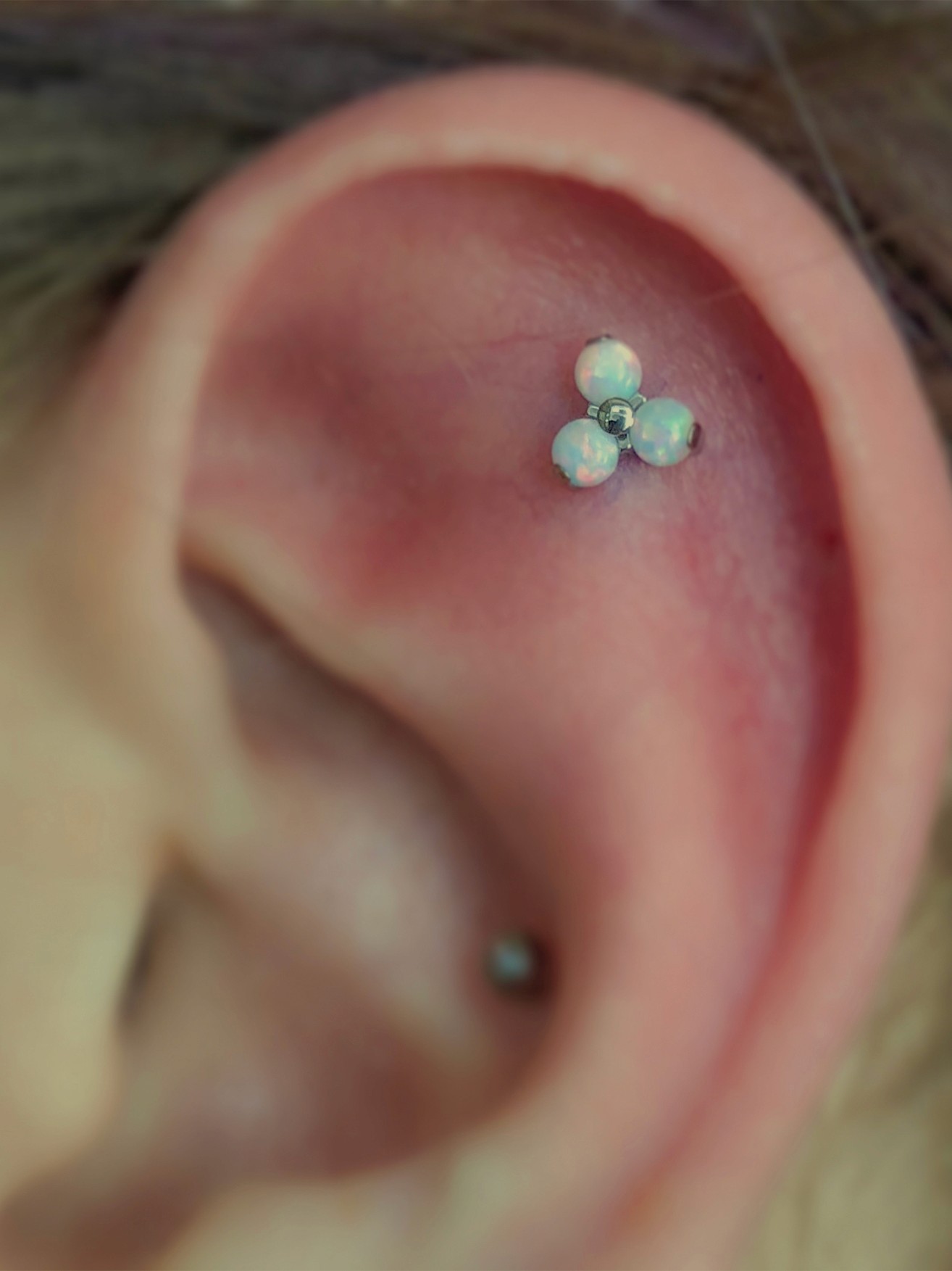 Tradecraft Body Piercing Ocean City Maryland Flat Helix Piercing