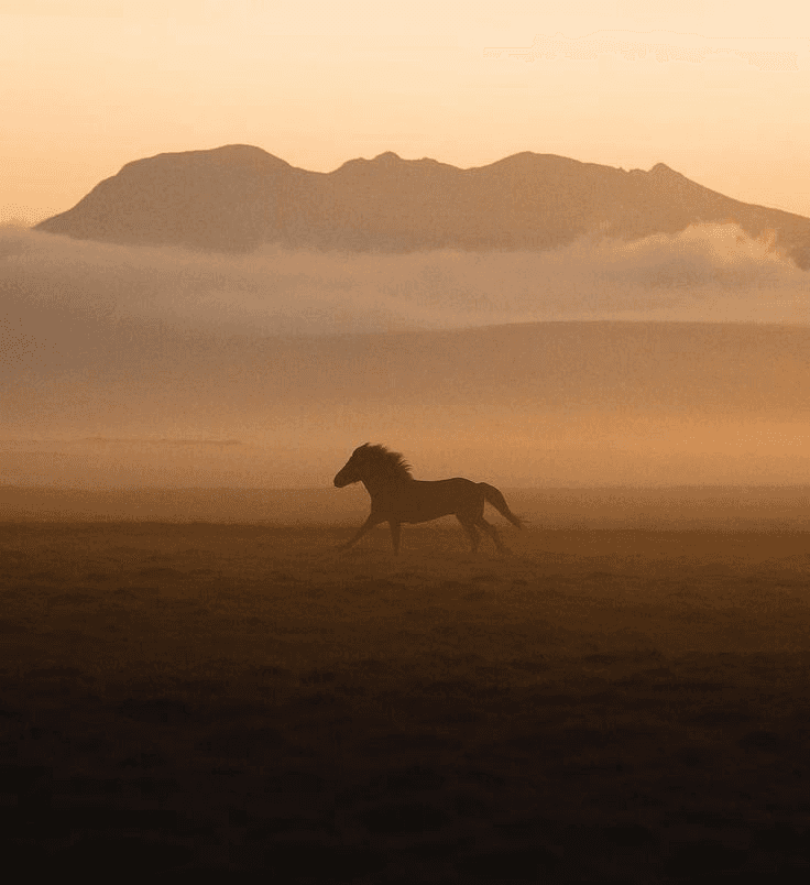 Black Man (Background Removed)