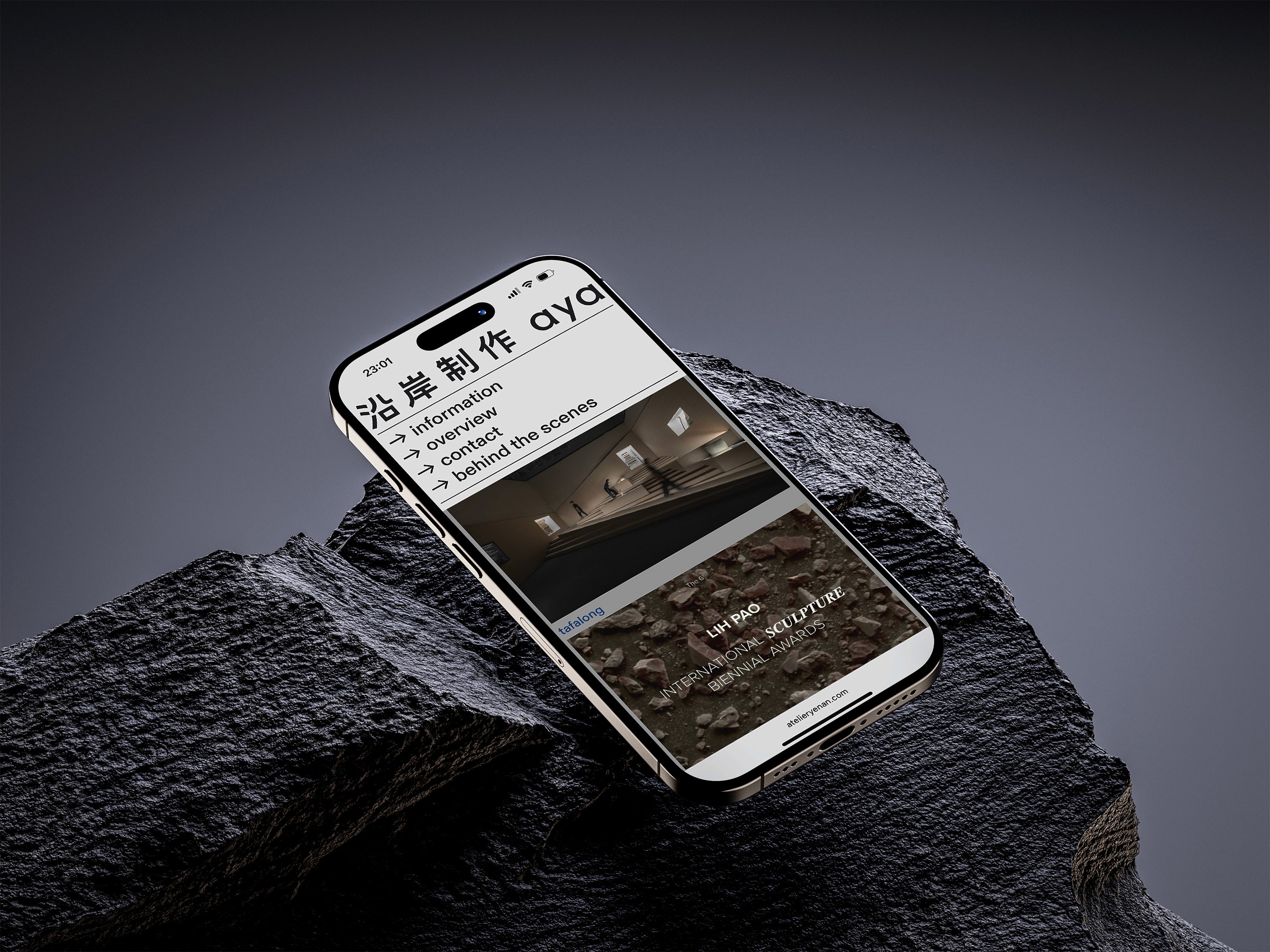 aya-website-4