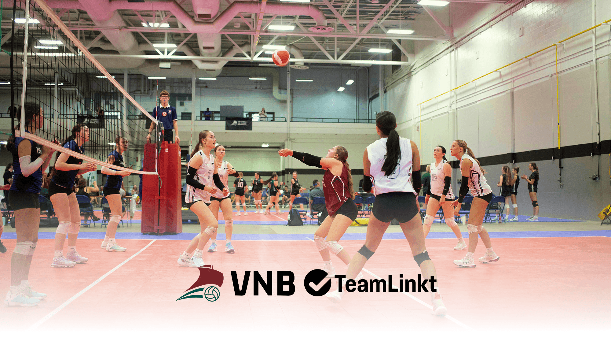 VNB X TeamLinkt Hero Banner