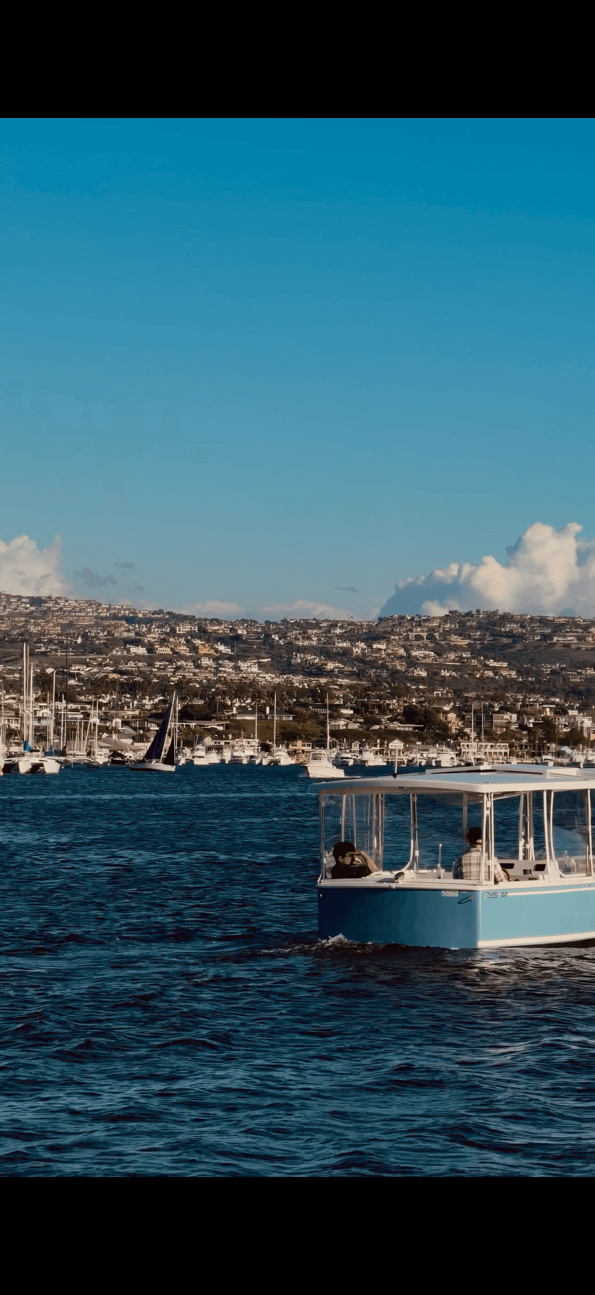 Nadina working quietly in front of a computer