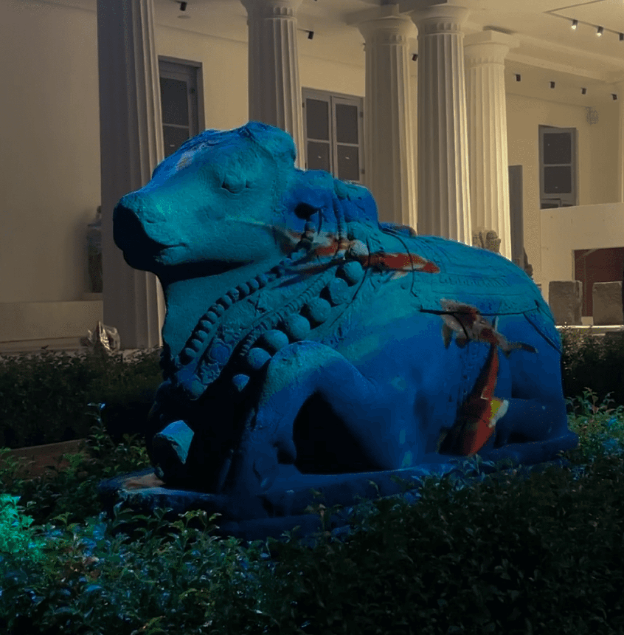 coune x National Museum