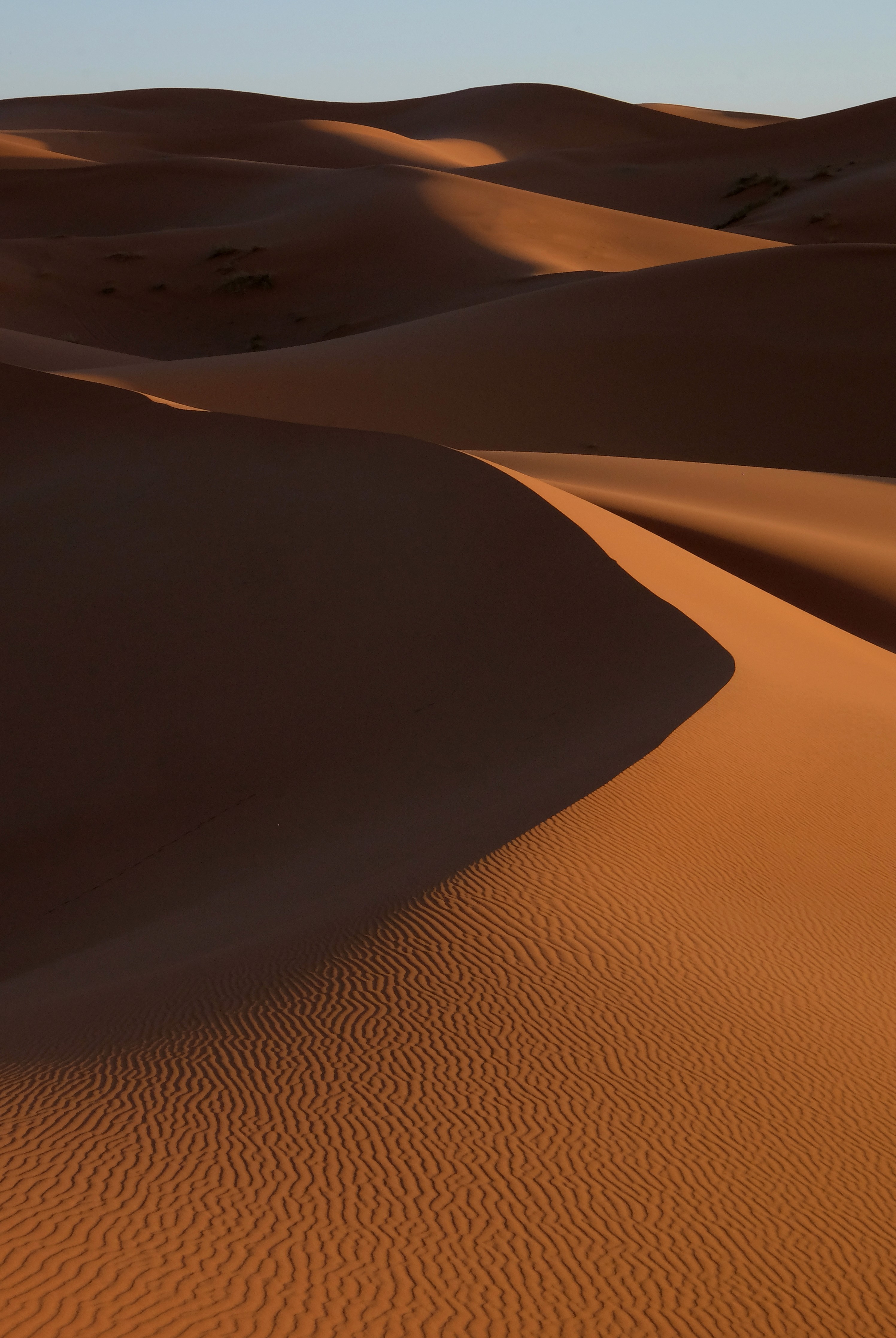 Woman in a blazer with sunlight on her face.
