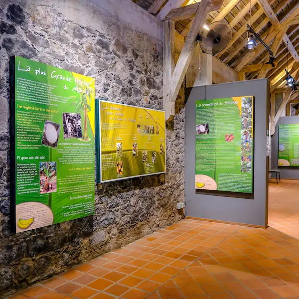 Salle d'exposition du musée de la banane