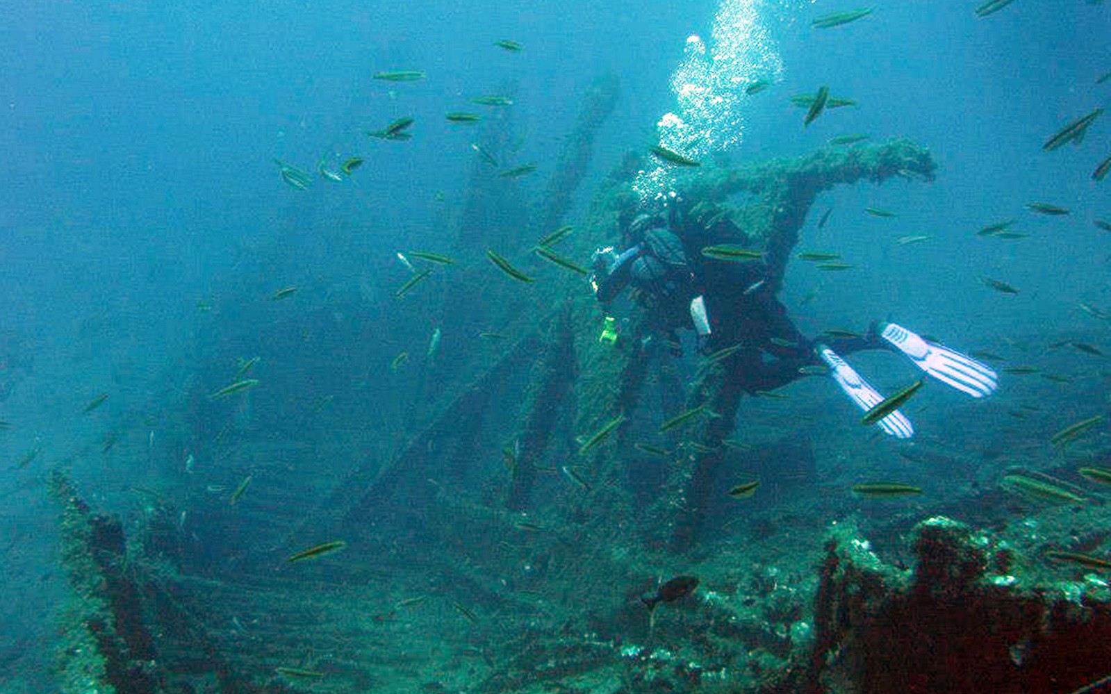 持证潜水员在雅典内亚马克里探索沉船并与鱼群同行。