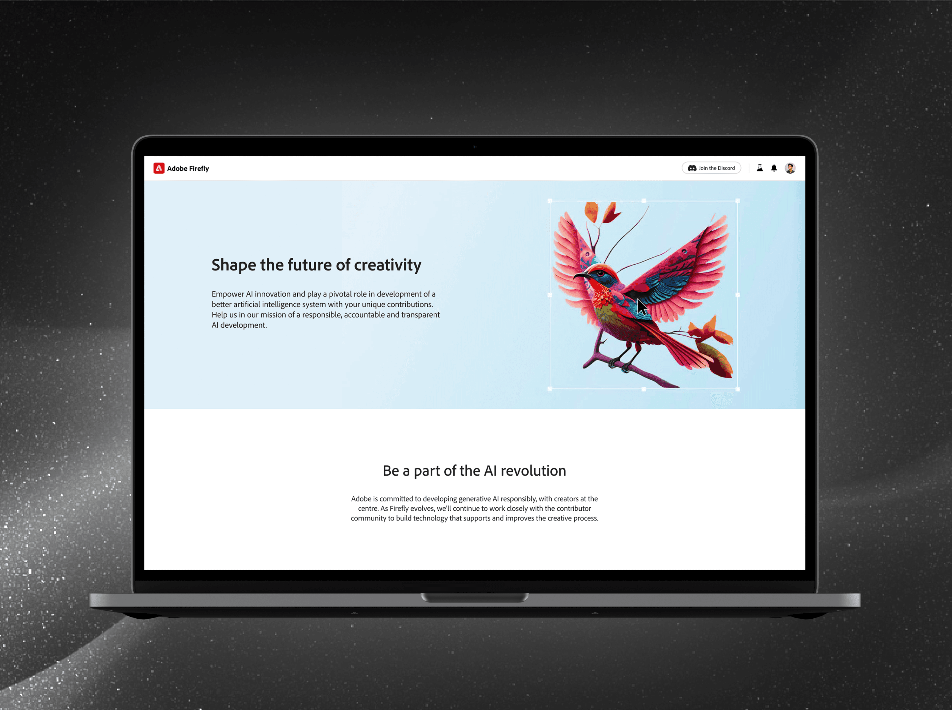 Adobe Firefly Contributor Portal